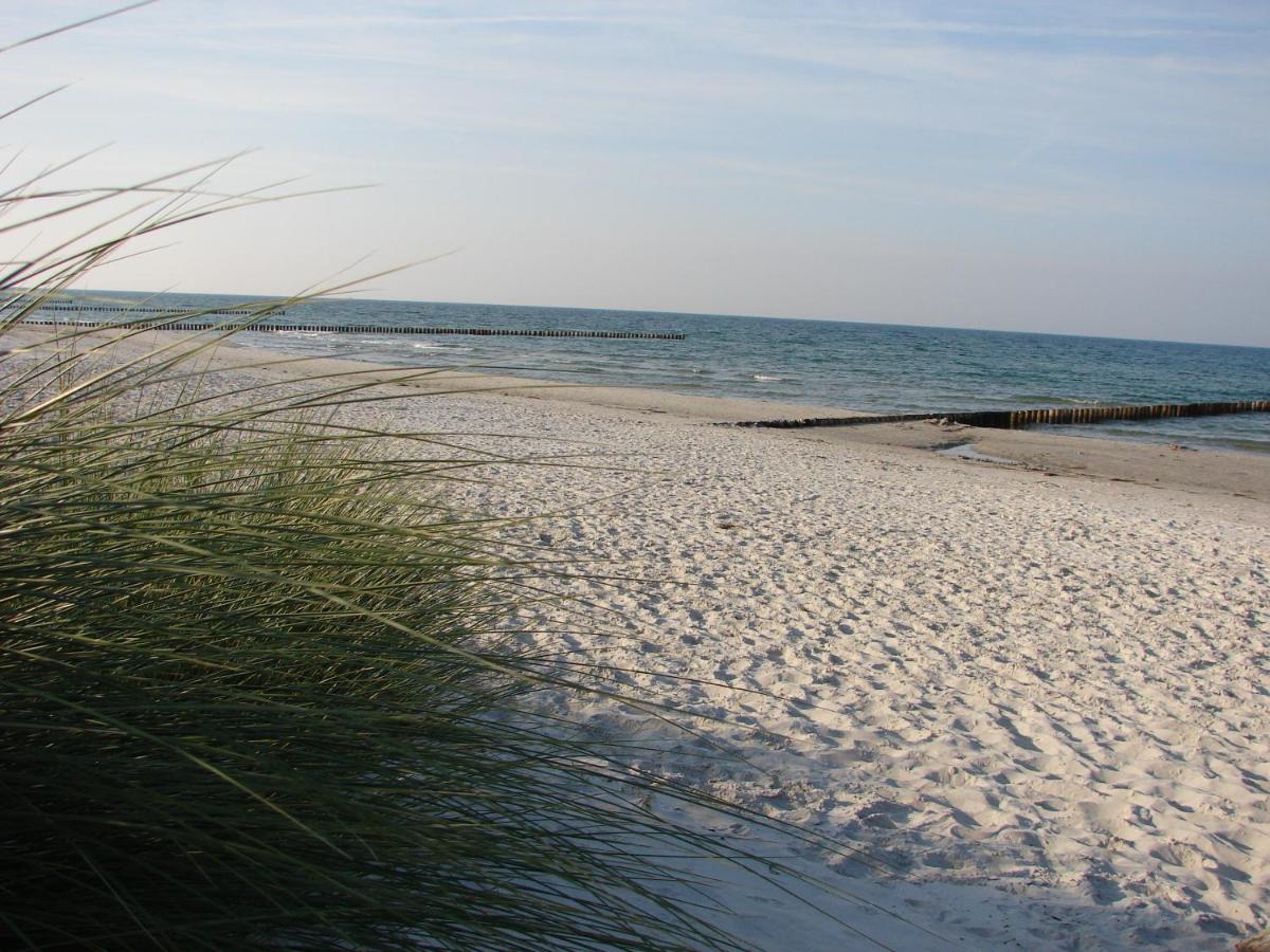 Hausnora - Zingst Apartment ภายนอก รูปภาพ